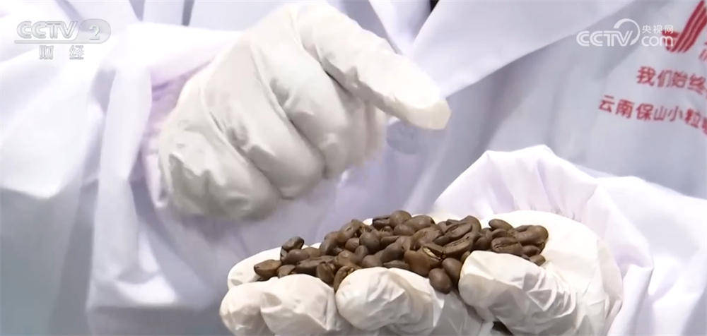 亮眼数据彰显我国咖啡产业迎来发展黄金期开元棋牌从“原料供应”→“品牌输出”
