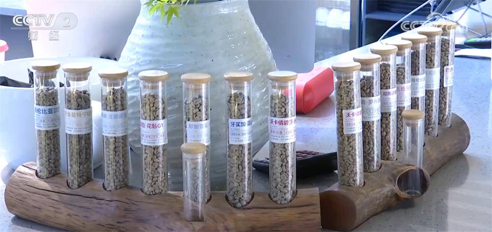 亮眼数据彰显我国咖啡产业迎来发展黄金期开元棋牌从“原料供应”→“品牌输出”(图3) 亮眼数据彰显我国咖啡产业迎来发展黄金期开元棋牌从“原料供应”→“品牌输出”(图3)