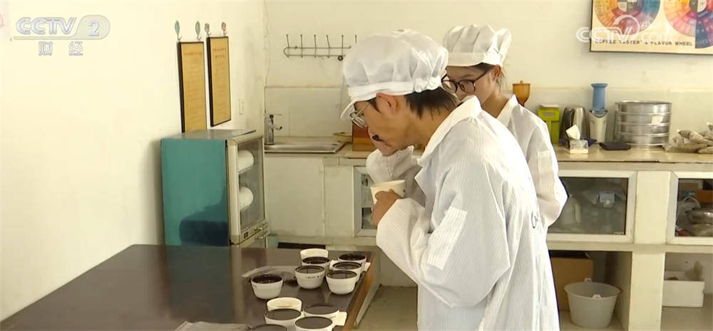 亮眼数据彰显我国咖啡产业迎来发展黄金期开元棋牌从“原料供应”→“品牌输出”(图4) 亮眼数据彰显我国咖啡产业迎来发展黄金期开元棋牌从“原料供应”→“品牌输出”(图4)