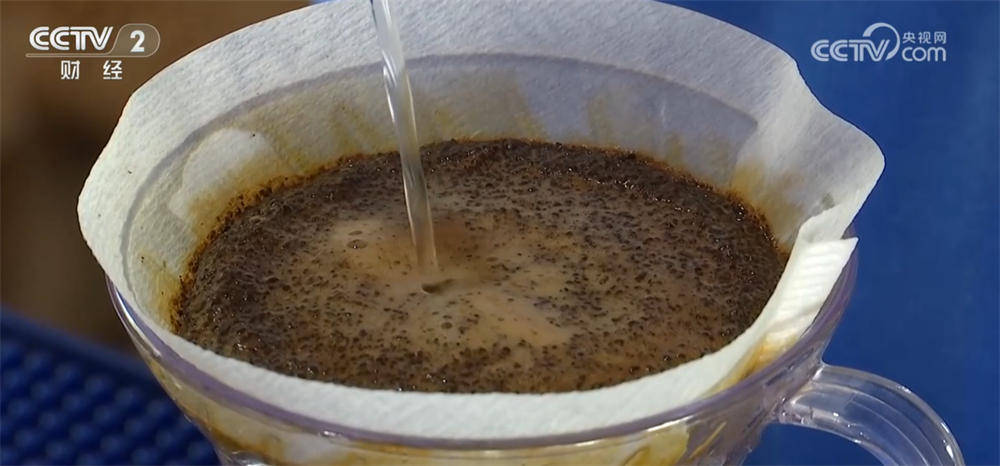 亮眼数据彰显我国咖啡产业迎来发展黄金期开元棋牌从“原料供应”→“品牌输出”(图7) 亮眼数据彰显我国咖啡产业迎来发展黄金期开元棋牌从“原料供应”→“品牌输出”(图7)