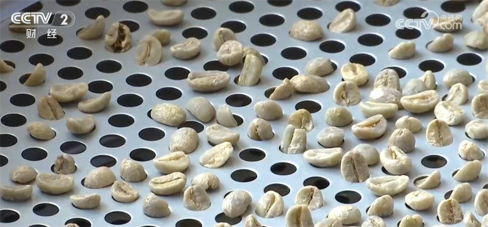 亮眼数据彰显我国咖啡产业迎来发展黄金期开元棋牌从“原料供应”→“品牌输出”(图9) 亮眼数据彰显我国咖啡产业迎来发展黄金期开元棋牌从“原料供应”→“品牌输出”(图9)