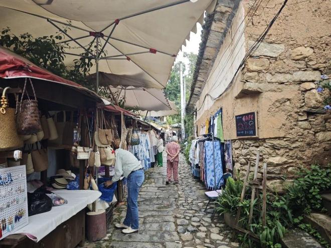 留量”艺术扎根结出“金果子”开元棋牌app凤阳邑流量变“(图6)