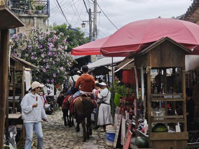 留量”艺术扎根结出“金果子”开元棋牌app凤阳邑流量变“(图4)