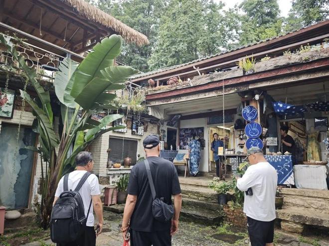 留量”艺术扎根结出“金果子”开元棋牌app凤阳邑流量变“(图2)