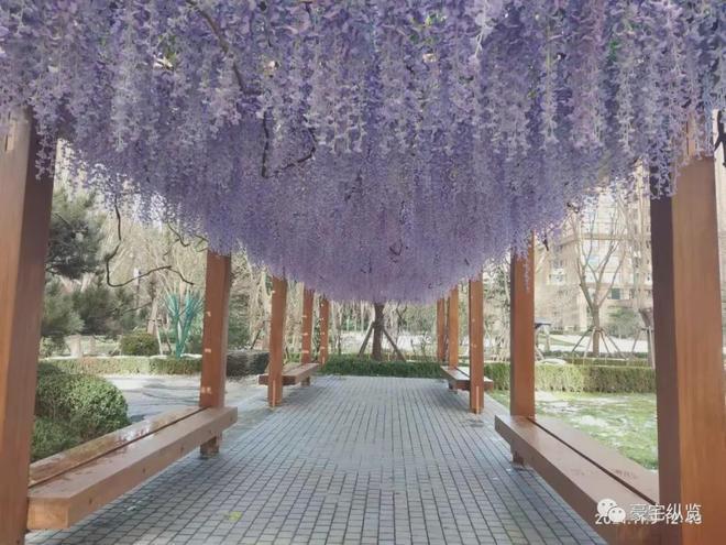 京缦合)网站-楼盘百科-好房开元棋牌缦合北京-售楼处(北(图13)