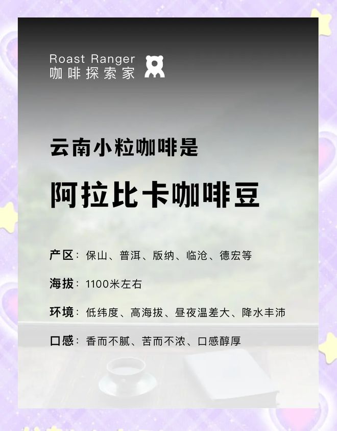 彩云之南的馥郁传奇开元棋牌云南咖啡：